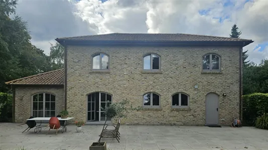 Rooms in Brecht - photo 7