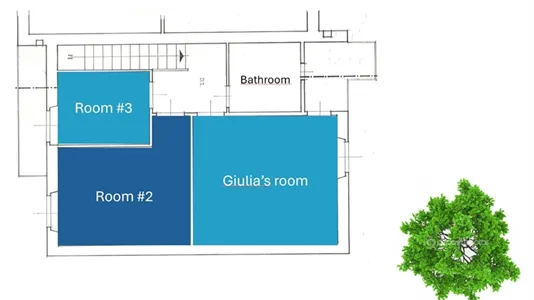 Rooms in Pisa - photo 10