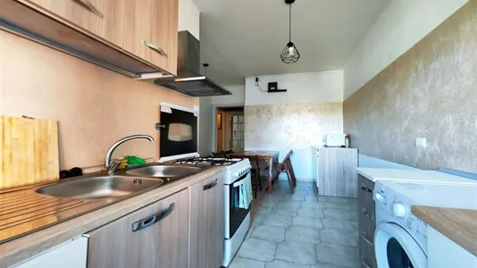 Rooms in Roma Municipio XI – Arvalia/Portuense - photo 5