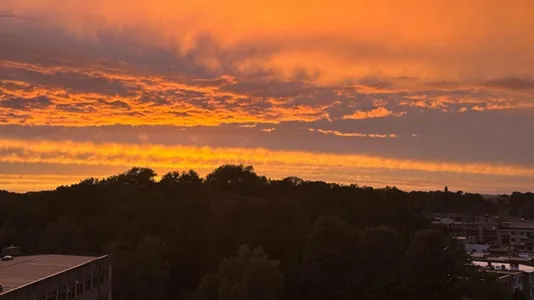 Rooms in Brussels Sint-Jans-Molenbeek - photo 6