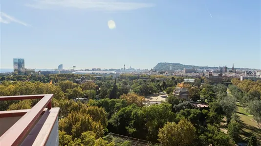 Apartments in Barcelona Sant Martí - photo 4