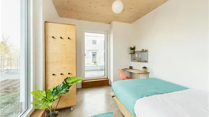 Room for rent in Berlin Mitte, Berlin