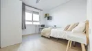 Room for rent, el Camí de Vera, Comunidad Valenciana, Carrer del Doctor Vicent Zaragoza