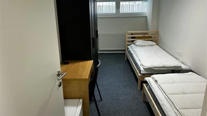 Room for rent in Besnica, Osrednjeslovenska