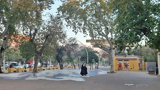 Rooms in Sevilla Casco Antiguo - photo 4