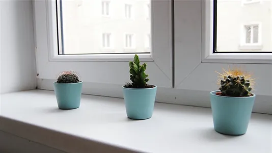 Rooms in Vienna Landstraße - photo 4