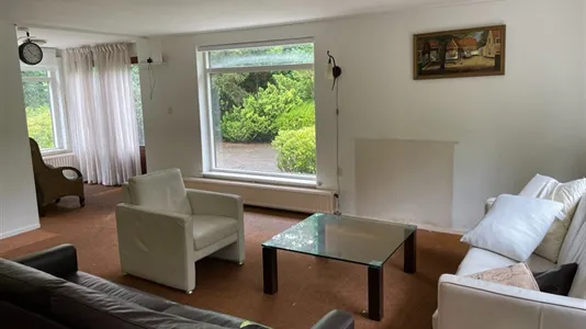 Houses in Ommen - photo 4