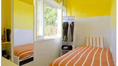 Room for rent in Lisbon (region)