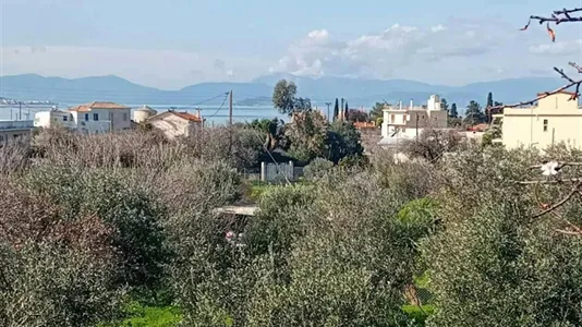 Houses in Aegina - photo 3