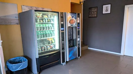 Rooms in Roma Municipio VI – Roma Delle Torri - photo 10