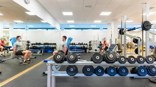 Rooms in Bami - photo 10