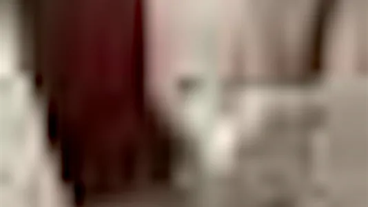 Rooms in Barcelona Eixample - photo 5