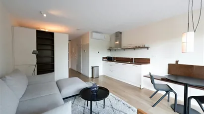 Apartment for rent in Delft, South Holland