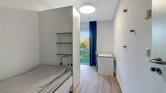 Rooms in Berlin Treptow-Köpenick - photo 4