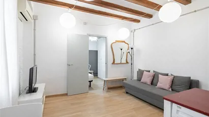 Apartment for rent in Barcelona Ciutat Vella, Barcelona