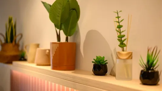 Apartments in Munich Allach-Untermenzing - photo 9