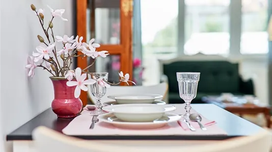 Apartments in Wrocław - photo 7