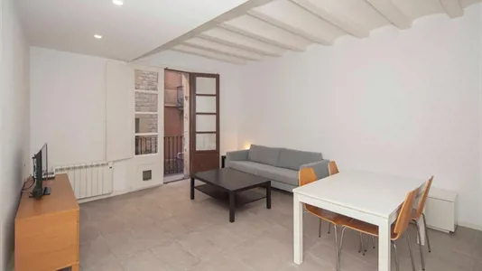 Apartments in Barcelona Ciutat Vella - photo 3