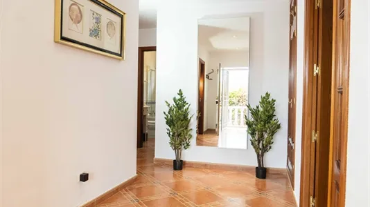 Houses in Huelves - photo 5