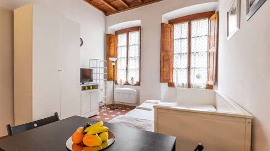 Apartments in Florence - photo 2