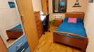 Room for rent, Salamanca, Castilla y León, Paseo de San Vicente