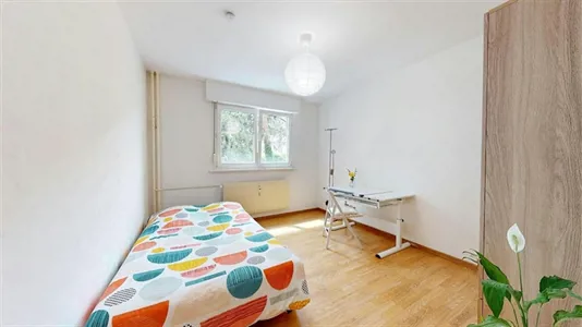 Rooms in Colmar-Ribeauvillé - photo 1