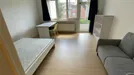 Room for rent, Brussels Sint-Lambrechts-Woluwe, Brussels, Tomberg