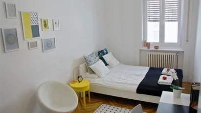 Room for rent in Budapest Erzsébetváros, Budapest