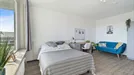 Room for rent, Berlin Steglitz-Zehlendorf, Berlin, Clayallee