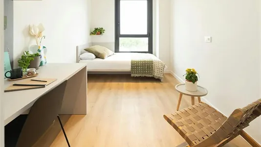 Apartments in Salamanca - photo 3