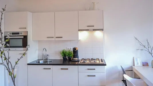 Apartments in Amsterdam Oud-West - photo 8