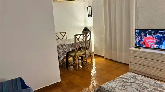 Apartments in Elche/Elx - photo 2