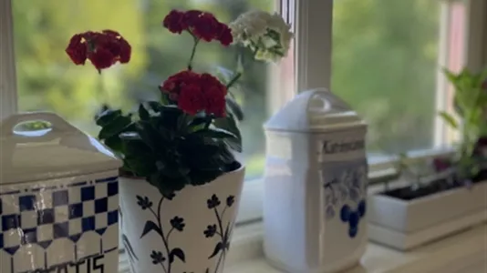 Houses in Härryda - photo 7