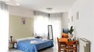 Apartment for rent, Arezzo, Toscana, Viale Michelangelo Buonarroti