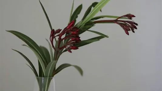 Rooms in Valencia Camins al Grau - photo 9