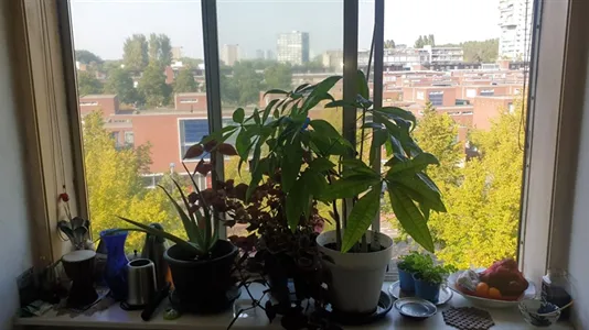 Rooms in Location is not specified - photo 9