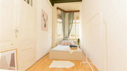 Room for rent in Budapest Ferencváros, Budapest