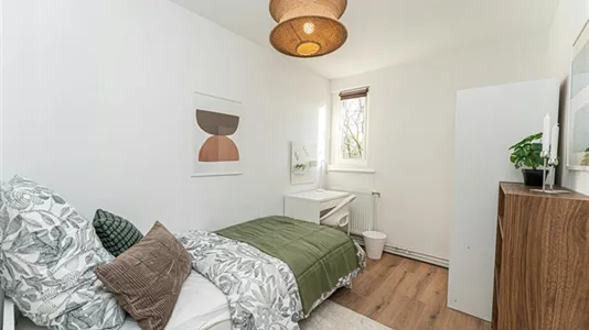 Rooms in Berlin Treptow-Köpenick - photo 4
