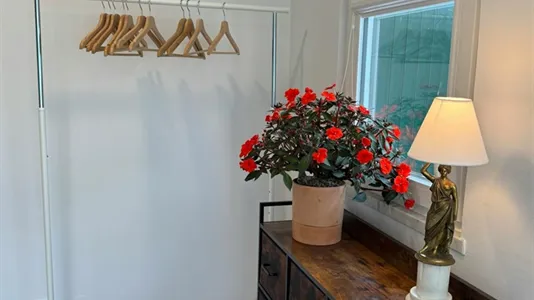 Houses in Sintra - photo 9