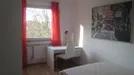 Room for rent, Main-Taunus-Kreis, Baden-Württemberg, Berliner Straße