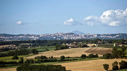 Apartments in Marsciano - photo 3