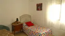 Room for rent, Córdoba, Andalucía, Calle Músico Ziryab