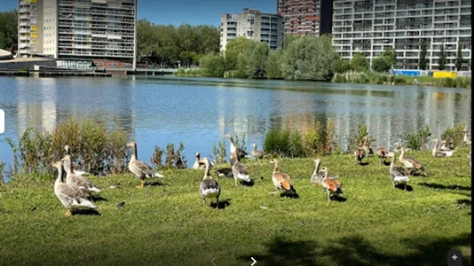 Rooms in Location is not specified - photo 10