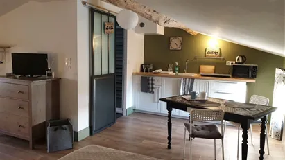 Apartment for rent in Toulouse, Occitanie