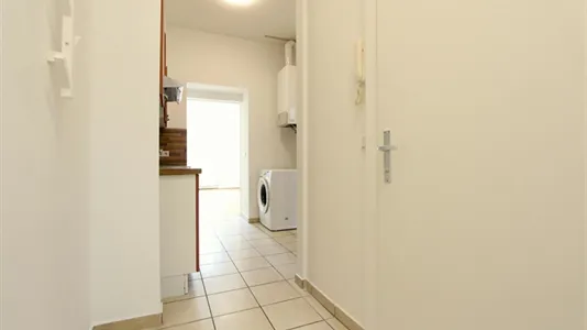 Apartments in Wien Rudolfsheim-Fünfhaus - photo 2