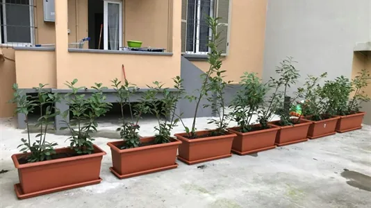 Rooms in Turin - photo 9