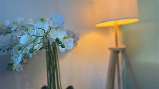 Apartments in Milano Zona 4 - Vittoria, Forlanini - photo 5