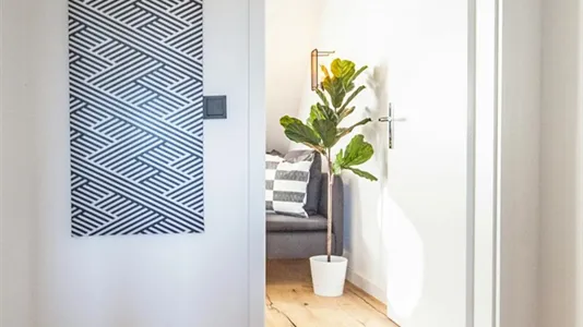 Apartments in Dusseldorf - photo 3