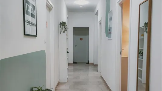 Rooms in Bologna - photo 5