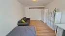 Room for rent, Vienna Josefstadt, Vienna, Bennogasse